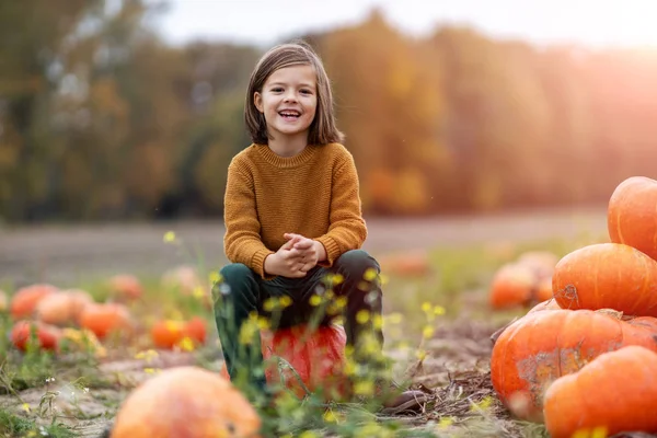 Cute Little Boy Having Fun Pumpkin Patch — Stock Photo, Image