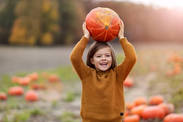 Cute Little Boy Having Fun Pumpkin Patch — Stock Photo, Image