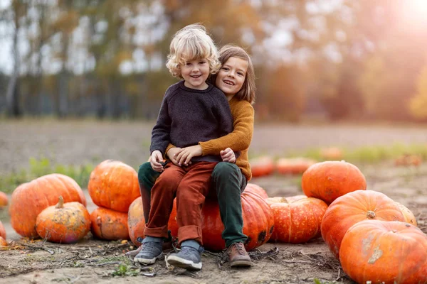 Two Little Boys Having Fun Pumpkin Patch Royalty Free Stock Photos