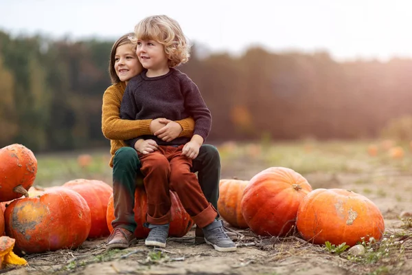 Två Små Pojkar Har Kul Pumpa Patch — Stockfoto