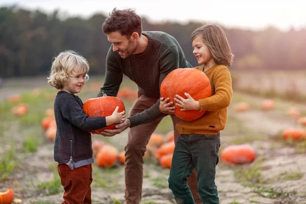 Father Sons Pumpkin Patch Field — Stock Photo, Image