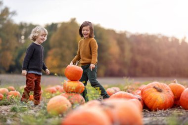 İki küçük çocuk balkabağı tarlasında eğleniyor.