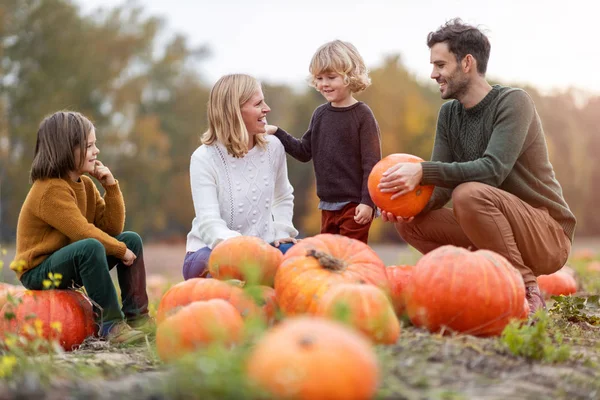 Glad Ung Familj Pumpa Patch Fält — Stockfoto