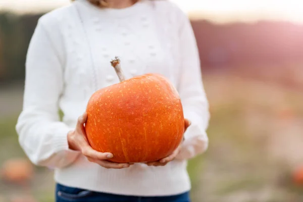 Woman holding pumpkin in pumpkin patch field
