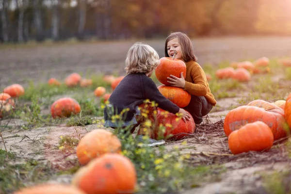 Two Little Boys Having Fun Pumpkin Patch — Stock Photo, Image