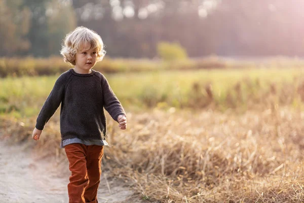 Netter Kleiner Junge Draußen Auf Den Feldern — Stockfoto