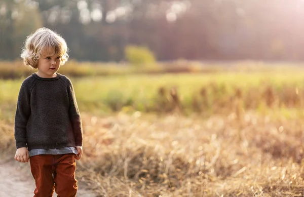 Netter Kleiner Junge Draußen Auf Den Feldern — Stockfoto