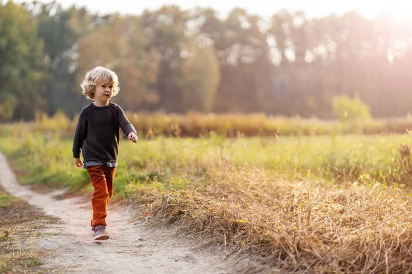 Netter Kleiner Junge Draußen Auf Den Feldern — Stockfoto