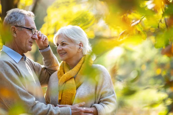 Heureux Couple Aîné Dans Parc Automne — Photo