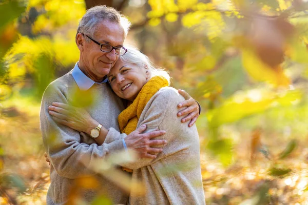 Heureux Couple Aîné Dans Parc Automne — Photo