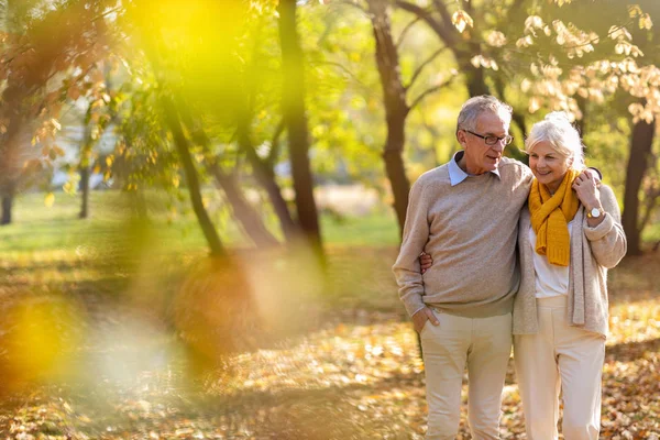 Glückliches Seniorenpaar Herbstpark — Stockfoto