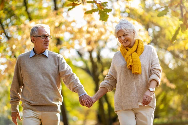 Heureux Couple Aîné Dans Parc Automne — Photo