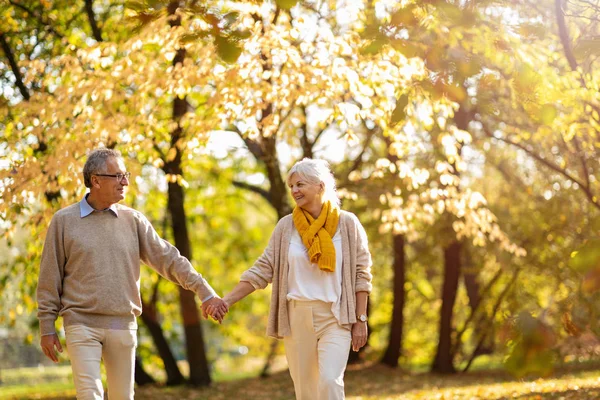 Happy Senior Couple Autumn Park — Stock Photo, Image