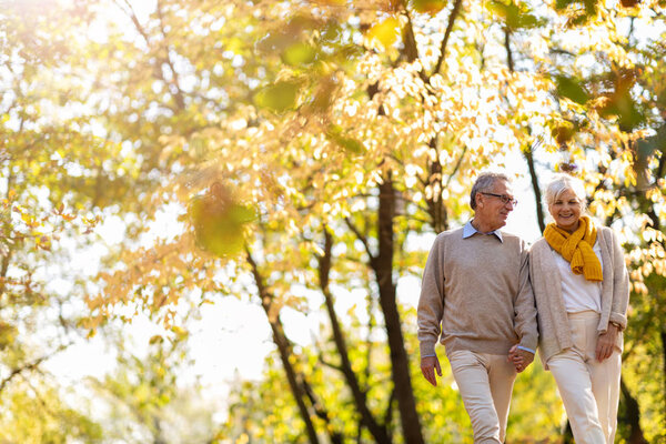 Happy senior couple in autumn park