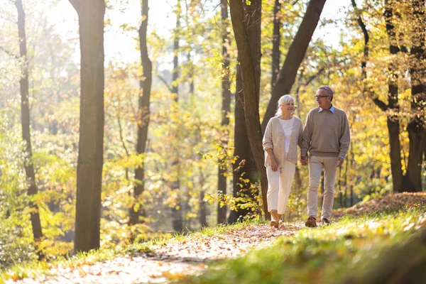 Glückliches Seniorenpaar Herbstpark — Stockfoto