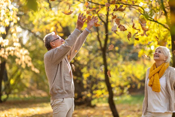 Heureux Couple Aîné Dans Parc Automne — Photo