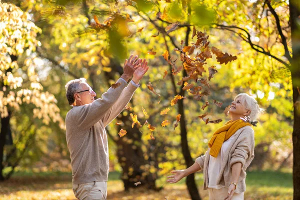 Glückliches Seniorenpaar Herbstpark lizenzfreie Stockbilder