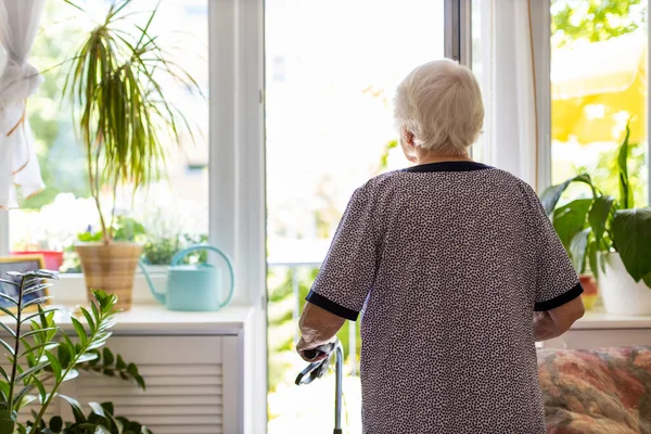 Vista Posteriore Una Donna Anziana Con Telaio Piedi Casa — Foto Stock