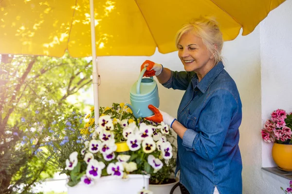 Senioren Vrouw Het Verzorgen Van Haar Planten Het Balkon — Stockfoto
