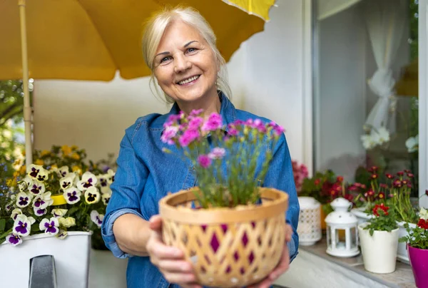 Senioren Vrouw Het Verzorgen Van Haar Planten Het Balkon — Stockfoto