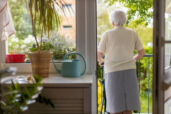 Vista Trasera Una Mujer Mayor Con Marco Para Caminar Casa —  Fotos de Stock