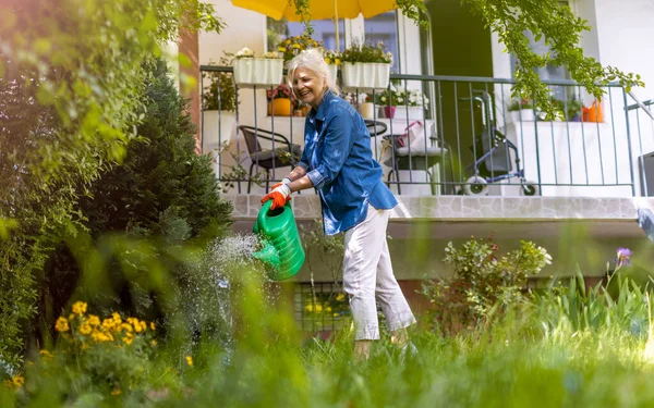 老妇人在自家花园里浇灌植物 — 图库照片