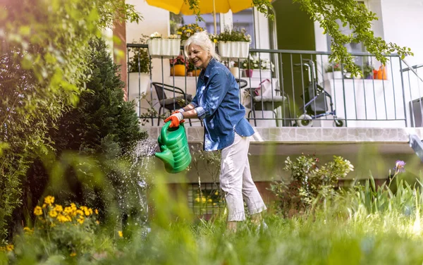 Seniorin Gießt Pflanzen Ihrem Garten — Stockfoto