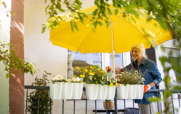 バルコニーで彼女の植物の世話をするシニア女性 — ストック写真