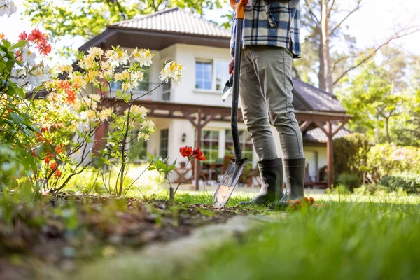 Volwassen Man Werkt Tuin — Stockfoto