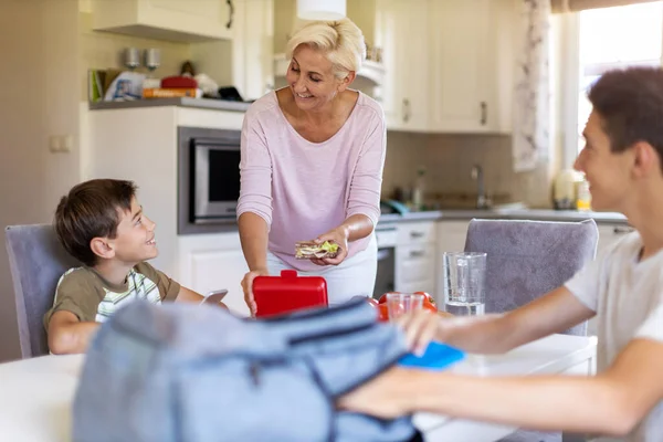 Mãe Preparando Lancheiras Saudáveis Para Seus Dois Filhos Antes Para — Fotografia de Stock