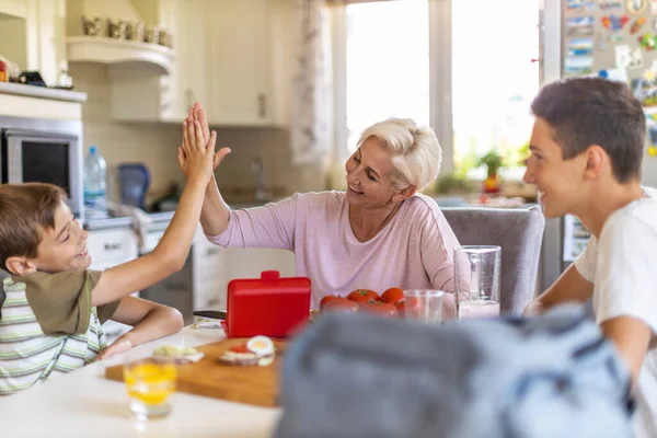 Mère Préparant Des Boîtes Lunch Saines Pour Ses Deux Fils — Photo