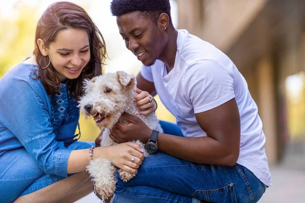 Joyeux Jeune Couple Avec Leur Chien Compagnie Extérieur — Photo