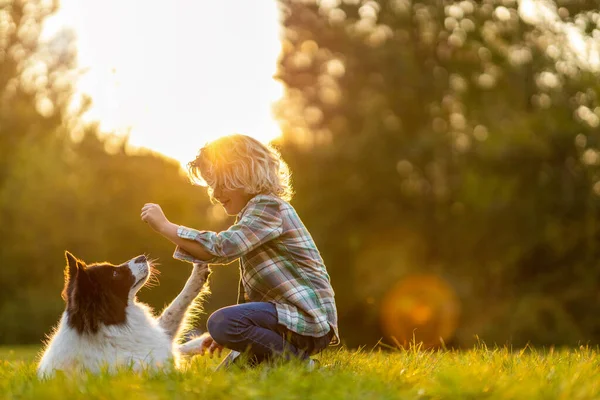 Kisfiú Kint Játszik Kutyájával Parkban — Stock Fotó