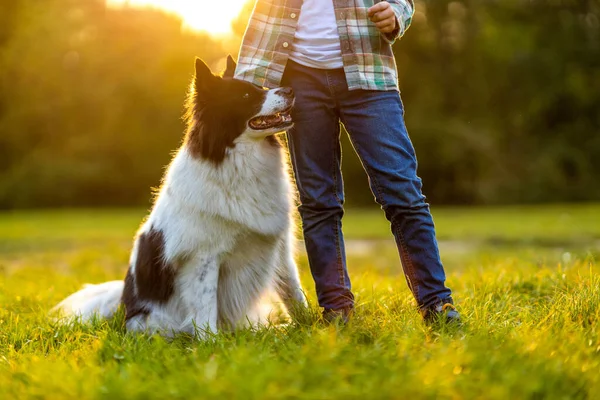 Ragazzino Che Gioca Con Suo Cane All Aperto Nel Parco — Foto Stock