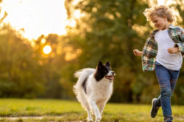 Kisfiú Kint Játszik Kutyájával Parkban — Stock Fotó