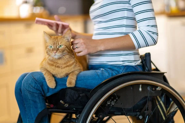 Mujer Silla Ruedas Con Gato Regazo — Foto de Stock