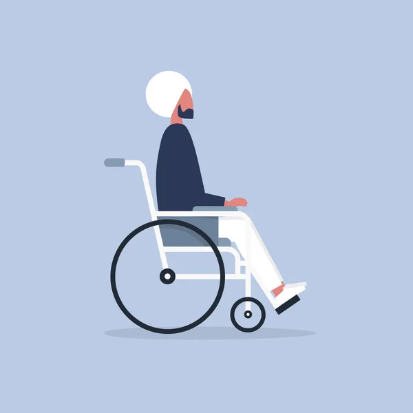 Jeune Personnage Indien Handicapé Assis Dans Fauteuil Roulant Invalidité Vie — Image vectorielle