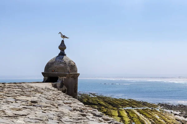 Peniche, Portekiz - Sahil tarafından küçük bir kule üzerinde martı