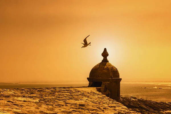 Peniche Portugal Seagull Vliegen Uit Een Kleine Toren Aan Kust — Stockfoto