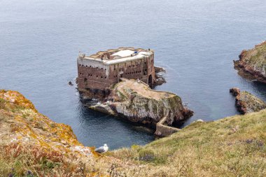 Berlengas Adaları, Portekiz - 21 Mayıs 2018: Forte des ao Joao Baptista, John Berlengas Baptist, bir suru birinde Berlangas Adaları