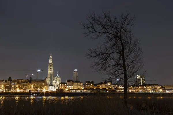 The beautiful skyline of Antwerp, Belgium with the Cathedral of our Lady on the left. — Stock Photo, Image