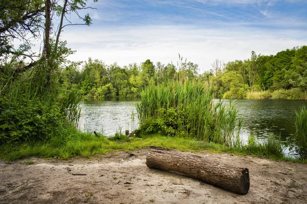 Walenhoek, Niel, Belgium: Log in front of a beautiful natural pond. — Stock Photo, Image