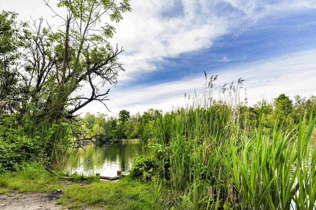 Walenhoek, Niel, Belgium: Log in front of a beautiful natural pond.