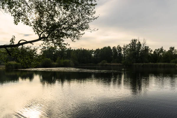 Walenhoek, Niel, Belgium:  Beautiful small lake at golden hour — Stock Photo, Image