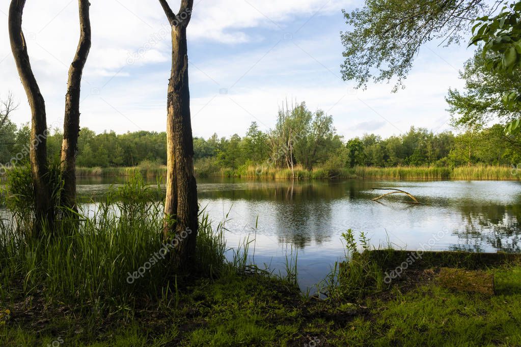 Walenhoek, Niel, Belgium:  Beautiful small lake at golden hour