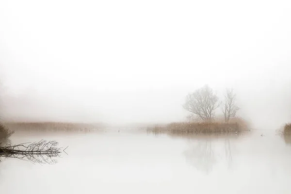 Hoboken, Bélgica - Um pequeno lago na névoa — Fotografia de Stock