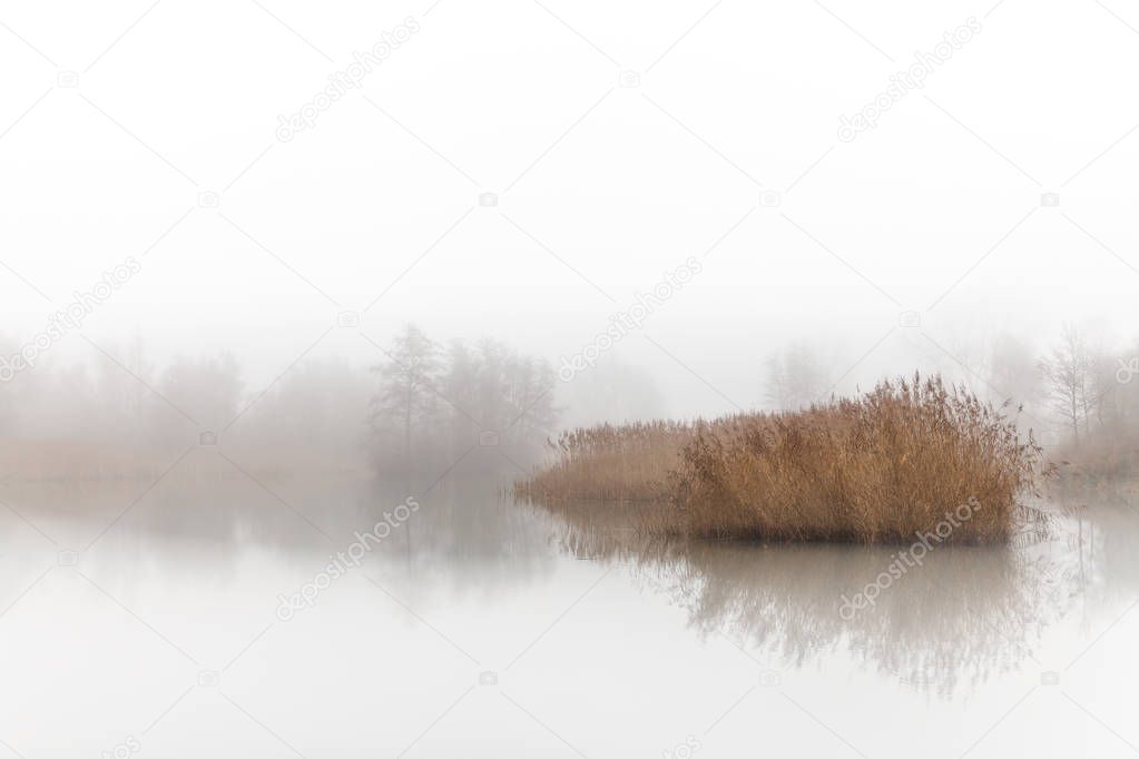 Hoboken, Belgium - A small lake in the mist