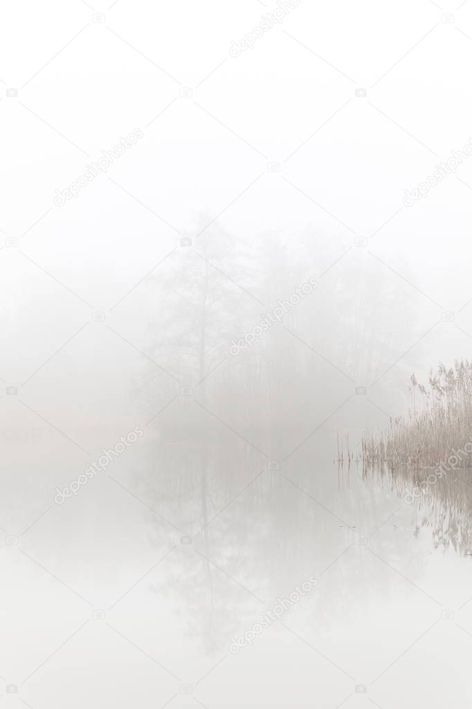 Hoboken, Belgium - A small lake in the mist