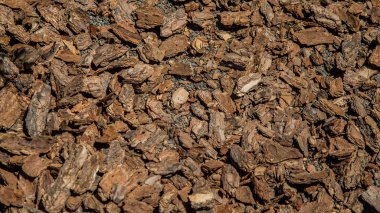Ezilmiş ağaç kabuğu doku arka plan portre. Rendelenmiş kahverengi ağaç kabuğu Bahçesi veya dekorasyon ve malçlama için