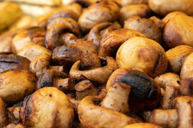 Champignon beyaz mantar ızgara veya Barbekü buhar ve su küçük damla ızgara. Portobello mantar marine ve ızgara. Izgara sebzeler ızgara yakın çekim.